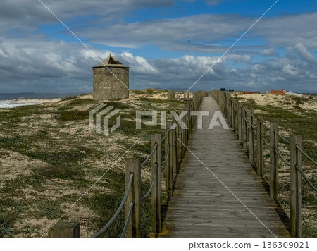 Wooden boardwalk leading through coastal dunes toward an old stone windmill along the Camino de Santiago in Portugal under dramatic cloudy sky 136309021