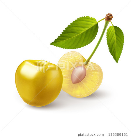 Cherry berry 136309161