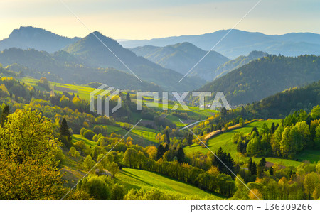 Mountain landscape in the Pieniny National Park at the foot of the Tatra Mountains Mountain landscape in the Pieniny National Park at the foot of the Tatra Mountains 136309266