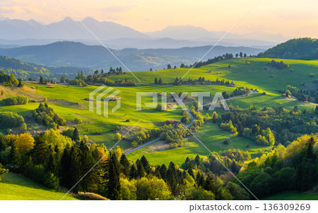 Mountain landscape in the Pieniny National Park at the foot of the Tatra Mountains Mountain landscape in the Pieniny National Park at the foot of the Tatra Mountains 136309269