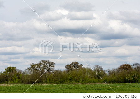 A vast field and trees under a cloudy sky in the suburbs of London A vast field and trees under a cloudy sky in the suburbs of London 136309426