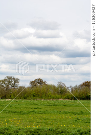 A vast field and trees under a cloudy sky in the suburbs of London A vast field and trees under a cloudy sky in the suburbs of London 136309427