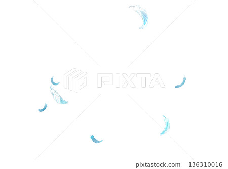 跳舞的羽毛 136310016