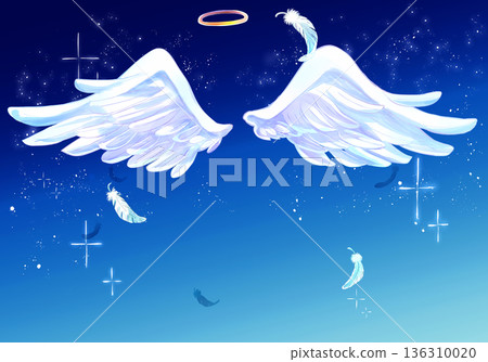 Angel wings and halo, flying feathers 136310020