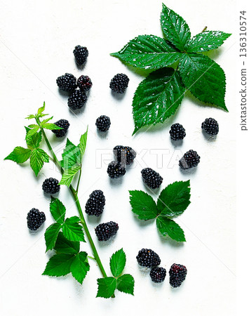 fresh blackberries, with foliage, top view, on a light background, no people, fresh blackberries, with foliage, top view, on a light background, no people, 136310574