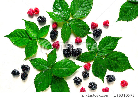 fresh blackberries and raspberries, with foliage, top view, on a light background, no people, fresh blackberries and raspberries, with foliage, top view, on a light background, no people, 136310575