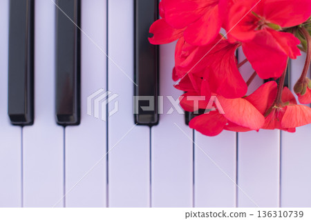 Romantic greeting card concept with red geranium on piano keys, close up top view of musical instrument with flowers, creative spring background 136310739