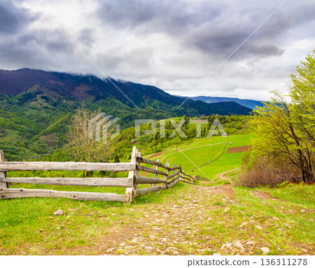 rolling hills of rural landscape in green grass. wooden fence in carpathian mountains. alpine countryside in spring. cloudy sky. remote place for outdoor adventures. concept for wellness and escape rolling hills of rural landscape in green grass. wooden fence in carpathian mountains. alpine countryside in spring. cloudy sky. remote place for outdoor adventures. concept for wellness and escape 136311278