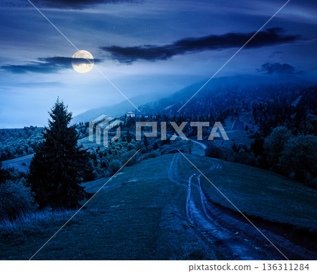 dirt road winding through green rolling hills at night. rural landscape in mountain range in full moon light. countryside vista under dark sky in spring. parks and outdoors mysterious fantasy 136311284