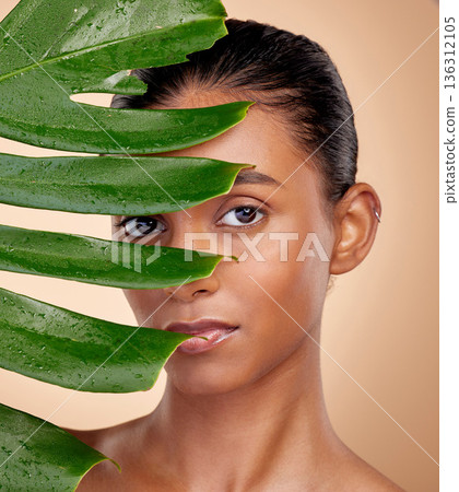 Leaf, portrait and beauty with indian woman with plant or cosmetic in studio background for glow. Leaves, face and girl with dermatology with facial treatment for self care with eco friendly person. 136312105
