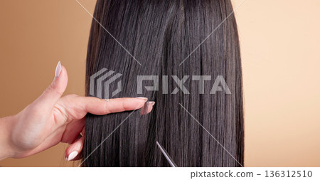 Salon, hair care and cut by hairdresser with scissors for style or aesthetic isolated in a brown studio background. Keratin, damage and long hairstyle makeover for beauty cosmetics and healthy shine 136312510