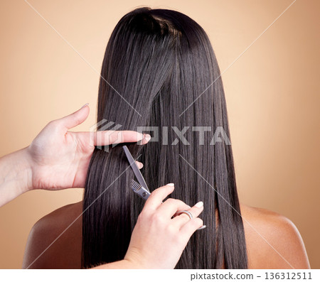 Back view, hands cut hair and woman, beauty and shine, cosmetic care isolated on studio background. Female people at hairdresser salon, scissors and makeover transformation with texture and trim 136312511