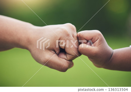 Fist bump, hands of baby and father with support together or gesture of success or trust in family on blurred background. Hand, bumping fists and dad with son or sign of solidarity or celebration Fist bump, hands of baby and father with support together or gesture of success or trust in family on blurred background. Hand, bumping fists and dad with son or sign of solidarity or celebration 136313504