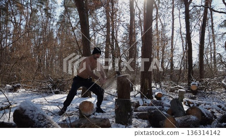 Shirtless young man chopping firewood in a sunny winter forest. Muscular guy working with axe in snowy woodland. Concept of strength, masculine, energy and harmony with nature during cold season 136314142