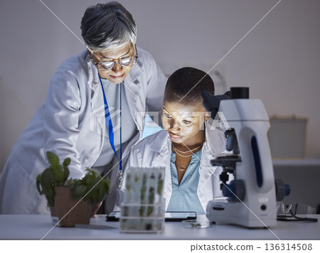 Scientist, team with women in lab and plant, ecology and check data results on tablet, eco and medical research. Female people, scientific collaboration and study, analysis and environmental science 136314508