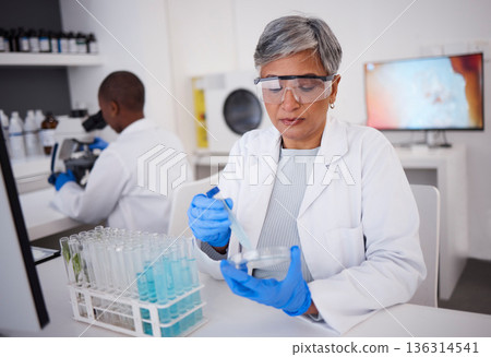 Science, research and a woman with a test in a lab for medicine, healthcare analytics and check. Medical, futuristic and a mature scientist studying a liquid or blood for professional results Science, research and a woman with a test in a lab for medicine, healthcare analytics and check. Medical, futuristic and a mature scientist studying a liquid or blood for professional results 136314541