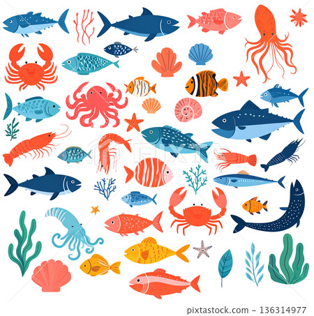 Colorful fish illustration set 136314977