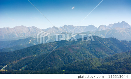 beautiful landscape of mountain range in poland, europe. panoramic travel background of high tatra in summer. scenic view of alpine region for picturesque journey in the afternoon 136315044