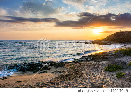 landscape of black sea sandy beach at sunrise. golden sand and rocks on the coast of bulgaria. beautiful view with sun above horizon. european summer vacation season and leisure concept 136315049