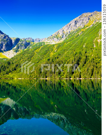 alpine lake in summer with green mountain reflection. beautiful landscape of poland with clear water. stunning view with blue sky over the peaks of tatra range. popular travel destination of europe 136315059