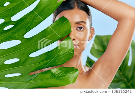 Cosmetics, leaf and portrait of a woman on a blue background for skincare, wellness and beauty glow. Ecology, dermatology and an Indian girl or model with a plant isolated on a studio backdrop Cosmetics, leaf and portrait of a woman on a blue background for skincare, wellness and beauty glow. Ecology, dermatology and an Indian girl or model with a plant isolated on a studio backdrop 136315241