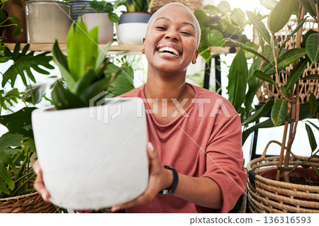 Happy, smile and woman with a plant in the greenhouse for an eco friendly or sustainable gift. Happiness, calm and African female person with green leaves in pot in the nursery for gardening at home. Happy, smile and woman with a plant in the greenhouse for an eco friendly or sustainable gift. Happiness, calm and African female person with green leaves in pot in the nursery for gardening at home. 136316593
