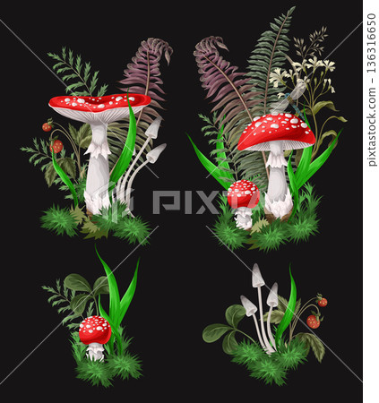 Compositions with Fly agarics, mushroom, and plants isolated. Vector. 136316650