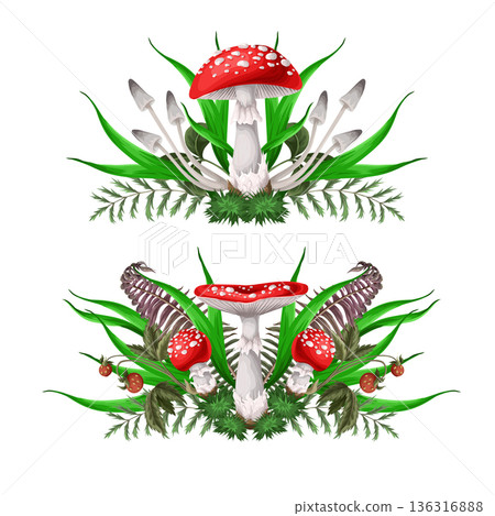 Compositions with Fly agarics, mushroom, and plants isolated. Vector. Compositions with Fly agarics, mushroom, and plants isolated. Vector. 136316888
