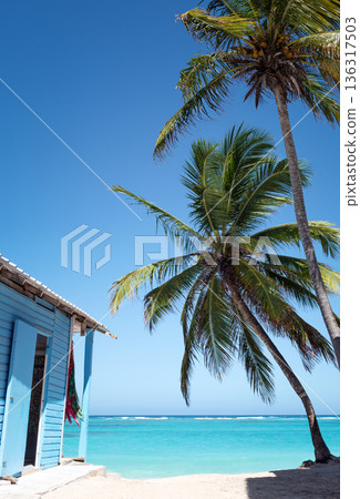 Typical caribbean blue wooden house near Atlantic ocean beach with azure water and coconut palm trees Typical caribbean blue wooden house near Atlantic ocean beach with azure water and coconut palm trees 136317503