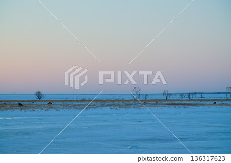 冬季半島半島 136317623