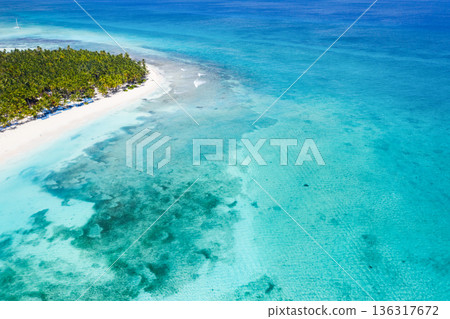 Aerial view on tropical island with palm trees and caribbean sea. Travel destination Aerial view on tropical island with palm trees and caribbean sea. Travel destination 136317672
