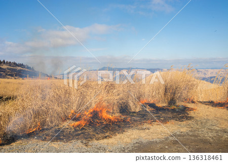 Aso open burning (Aso, Kumamoto Prefecture) Aso open burning (Aso, Kumamoto Prefecture) 136318461