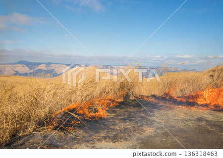 Aso open burning (Aso, Kumamoto Prefecture) 136318463