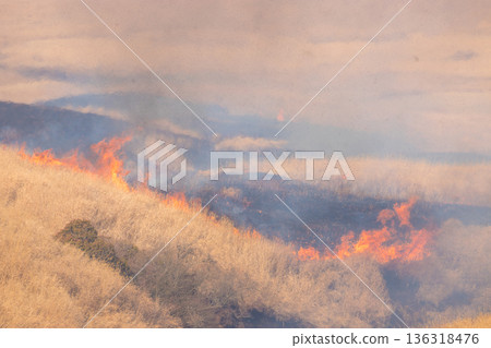 Aso open burning (Aso, Kumamoto Prefecture) Aso open burning (Aso, Kumamoto Prefecture) 136318476