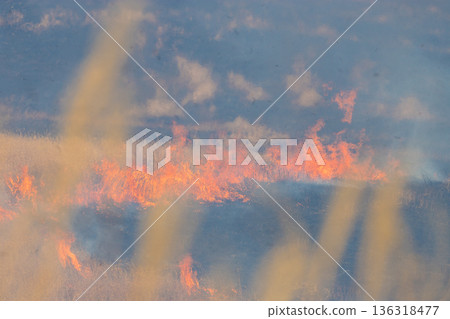 Aso open burning (Aso, Kumamoto Prefecture) Aso open burning (Aso, Kumamoto Prefecture) 136318477