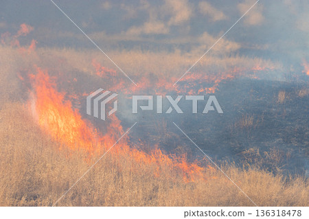 Aso open burning (Aso, Kumamoto Prefecture) 136318478