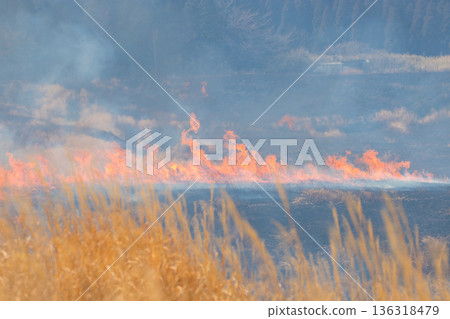 Aso open burning (Aso, Kumamoto Prefecture) Aso open burning (Aso, Kumamoto Prefecture) 136318479