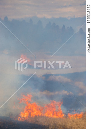 Aso open burning (Aso, Kumamoto Prefecture) Aso open burning (Aso, Kumamoto Prefecture) 136318482