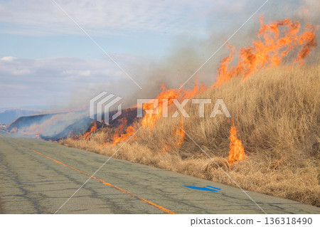 Aso open burning (Aso, Kumamoto Prefecture) Aso open burning (Aso, Kumamoto Prefecture) 136318490