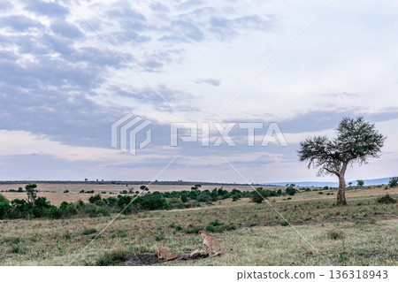 Kenya Photographers By Antony Trivet Photography Kenya Photographers By Antony Trivet Photography 136318943