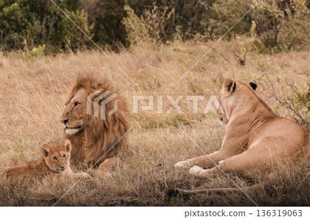 Kenya Photographers By Antony Trivet Photography Kenya Photographers By Antony Trivet Photography 136319063
