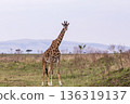 Kenya Photographers By Antony Trivet Photography 136319137