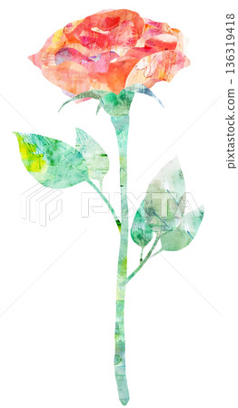 Watercolor collage style red rose Watercolor collage style red rose 136319418