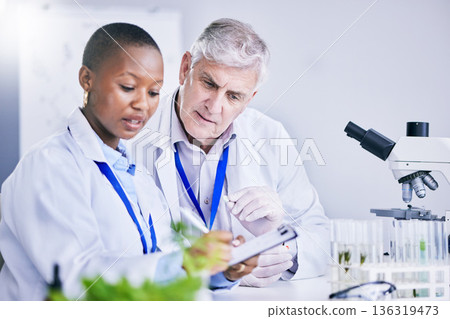 Paperwork, teamwork or scientist writing research notes for analysis on experiment, medical info or innovation. Science, collaboration or researchers in laboratory with documents for agro development 136319473