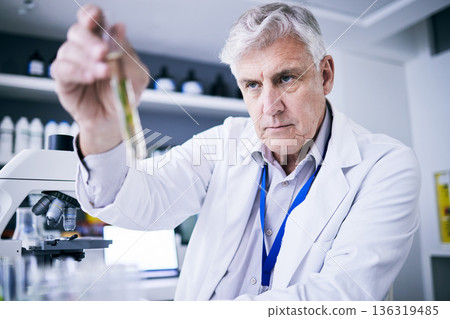 Plants, test tube and scientist man for pharmaceutical research, sustainable or herbs medicine in laboratory. Medical pharmacist or senior person in science analysis or focus in eco friendly solution Plants, test tube and scientist man for pharmaceutical research, sustainable or herbs medicine in laboratory. Medical pharmacist or senior person in science analysis or focus in eco friendly solution 136319485