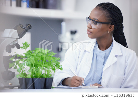 Plants, scientist or black woman writing for research, cannabis inspection or sustainability innovation. African person in science laboratory for leaf growth notes, weed info or floral agro analysis 136319635