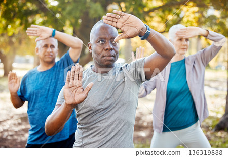 Fitness, tai chi and senior people in park for healthy body, wellness and active workout outdoors. Yoga, sports and men and women stretching in nature for exercise, training and pilates in retirement Fitness, tai chi and senior people in park for healthy body, wellness and active workout outdoors. Yoga, sports and men and women stretching in nature for exercise, training and pilates in retirement 136319888