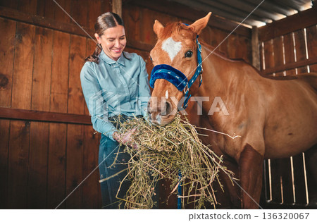 Woman, hay and feeding horse in stable, barn and rancher of farming animals in sustainable shed. Happy female farmer, owner and care for equestrian livestock, hungry brown stallion and farm pet Woman, hay and feeding horse in stable, barn and rancher of farming animals in sustainable shed. Happy female farmer, owner and care for equestrian livestock, hungry brown stallion and farm pet 136320067