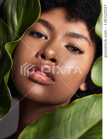 Face, black woman and leaves with natural beauty, nature and eco friendly skincare and portrait on studio background. Facial, green and African female model with skin glow and sustainable dermatology 136320597