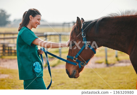 Woman veterinary, horse and medical care outdoor for health and wellness in the countryside. Happy doctor, professional nurse or vet person with an animal for help, touch and healthcare at a ranch 136320980